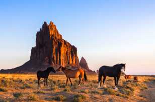Ship Rock and horses 3-0791.jpg Ship Rock and horses 3-0791.jpg